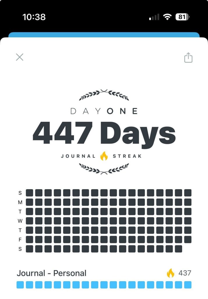 Example of a Journal Streaks screen on Day One app, iOS. 