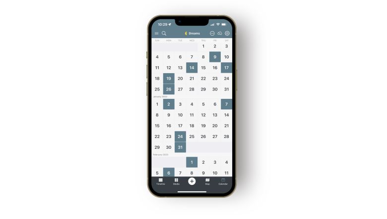 The Day One journal app's calendar view for a dream journal. 