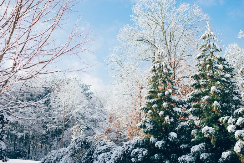 journaling for winter