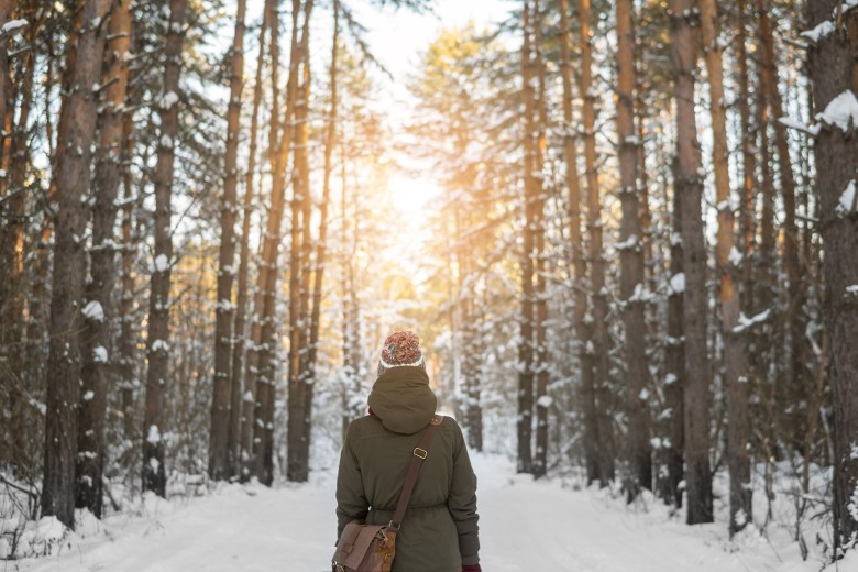 Woman walks a winter forest with the morning light streaming through the trees and illuminating the pine trees behind