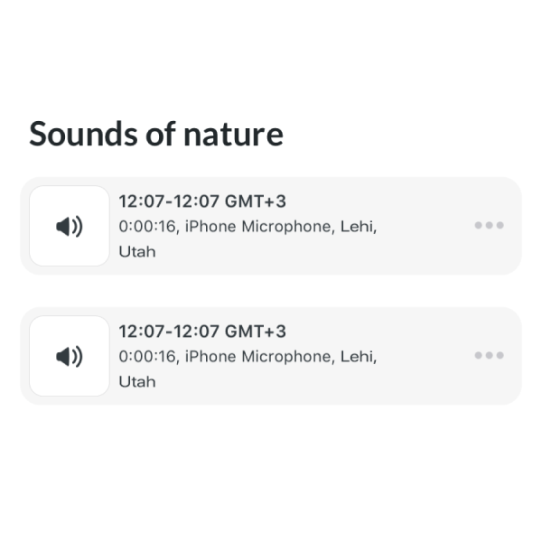Dictate entries with voice transcription or record stories and impressions with audio image. 