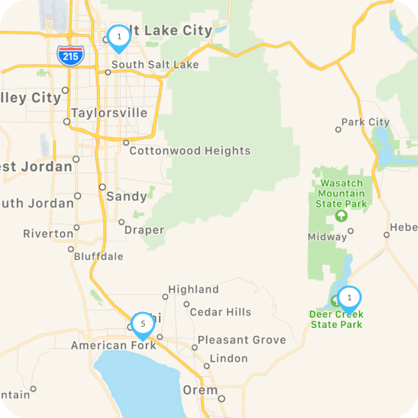 Take a trip through all your trips with the map view image.