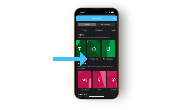 The travel packing list template in the Day One app
