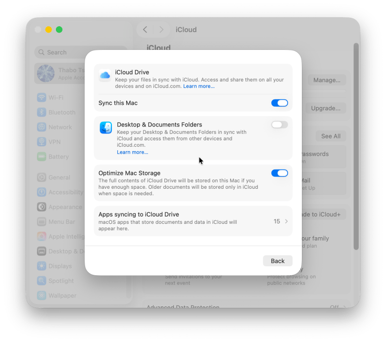 iCloud settings on Mac