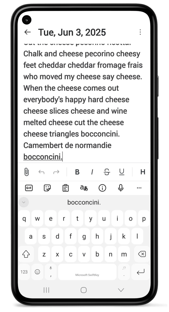 Entry editor in Day One for Android