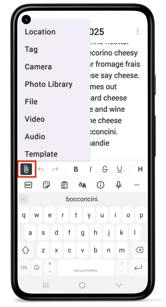 Options menu in entry editor in Day One for Android