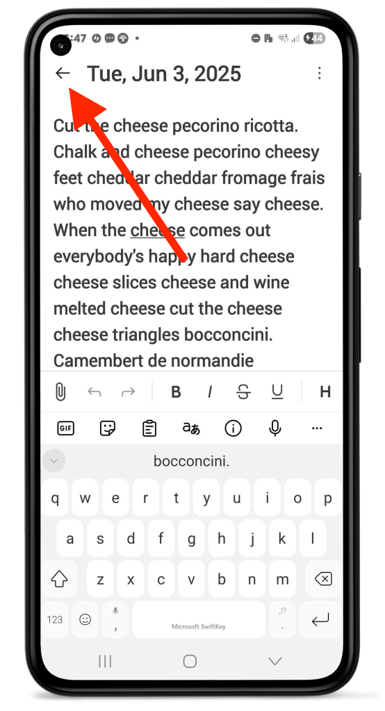 Back arrow in entry editor in Day One for Android
